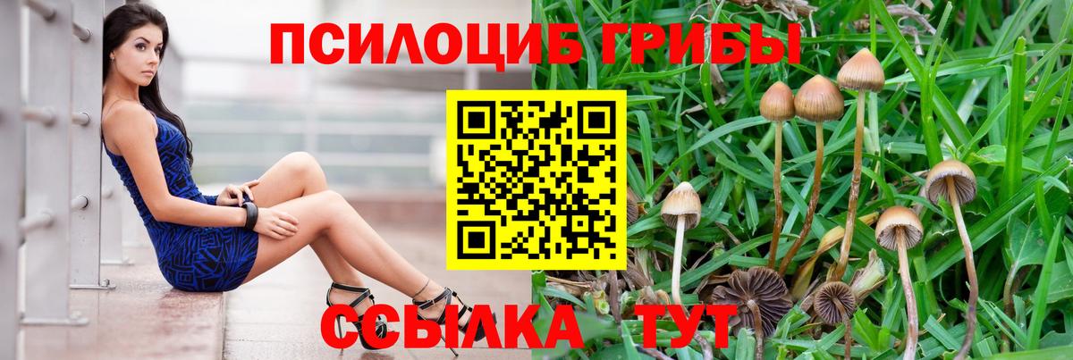Галлюциногенные грибы MAGIC MUSHROOMS Новокубанск